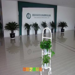 中财牌创意花架-002