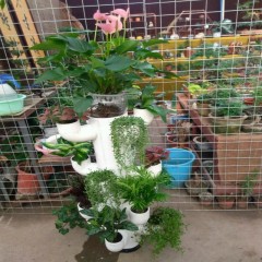 中财牌创意花架-004