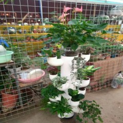 中财牌创意花架-005