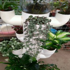 中财牌创意花架-006