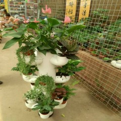 中财牌创意花架-007