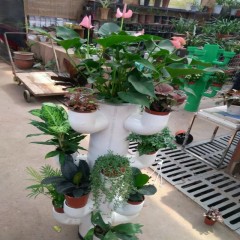 中财牌创意花架-008