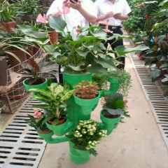 中财牌创意花架-009