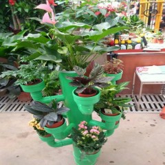 中财牌创意花架-010