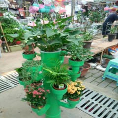 中财牌创意花架-011